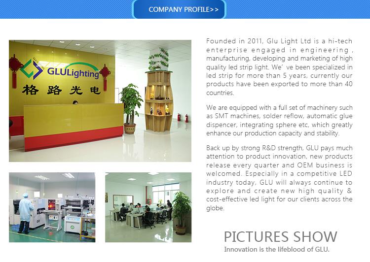 product-1-1 1 High CRI Ra95 led strip manufacturer.jpg