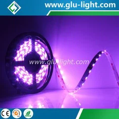 Bande Led RGB à émission latérale 24V 020, 60 diodes/m, vue latérale, nouvel arrivage 2017