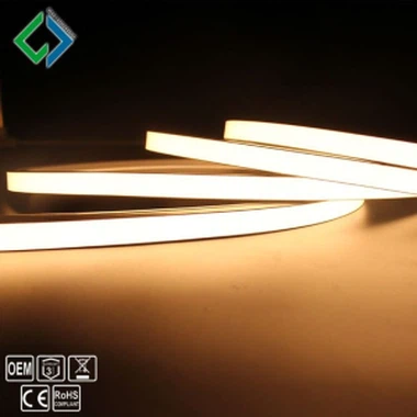 Bande menée au néon du même éclat 220V 2835 du courant constant 30m